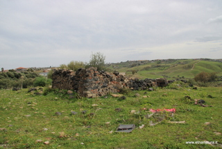 ammena-26-02-2023 13-44-15